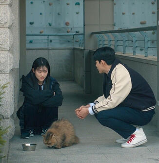 revenge of others (12 episodes)